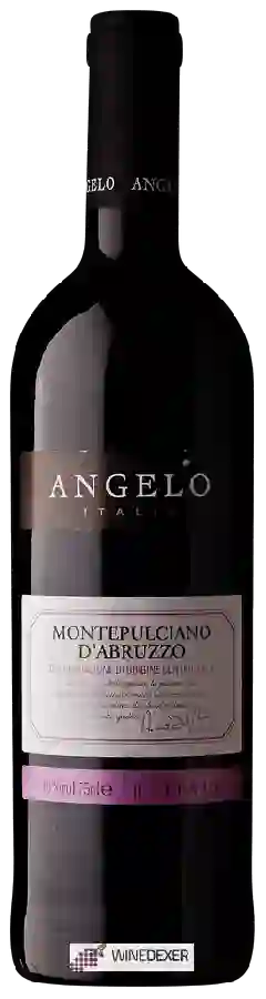 Winery Angelo - Montepulciano d'Abruzzo Winery Angelo - Montepulciano d'Abruzzo