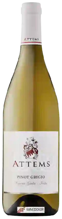 Winery Attems - Pinot Grigio