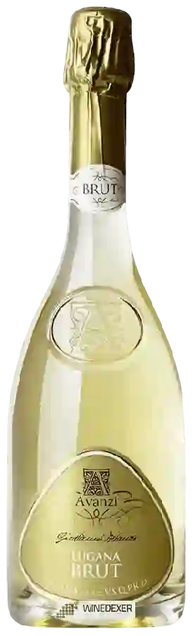 Winery Avanzi - Brut