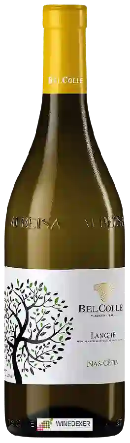 Winery BelColle - Nas-Cëtta