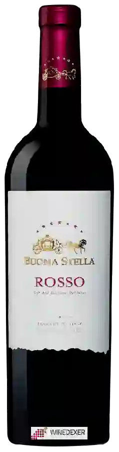 Winery Buona Stella - Rosso