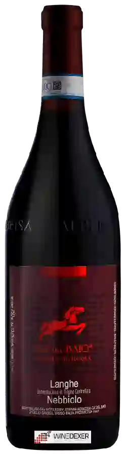 Winery Ca’ del Baio - Langhe Nebbiolo