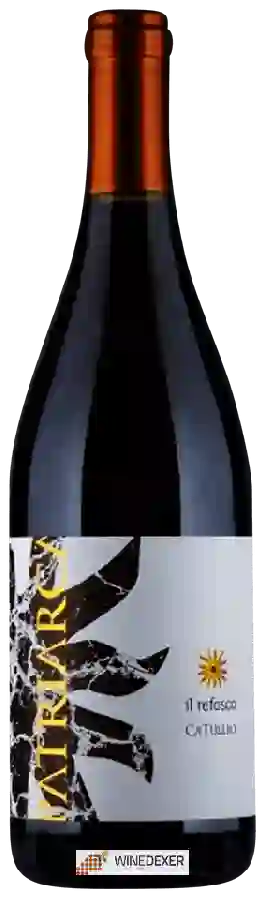 Winery Ca'Tullio - Patriarca Il Refosco Winery Ca'Tullio - Patriarca Il Refosco