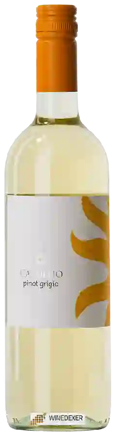 Winery Ca'Tullio - Pinot Grigio