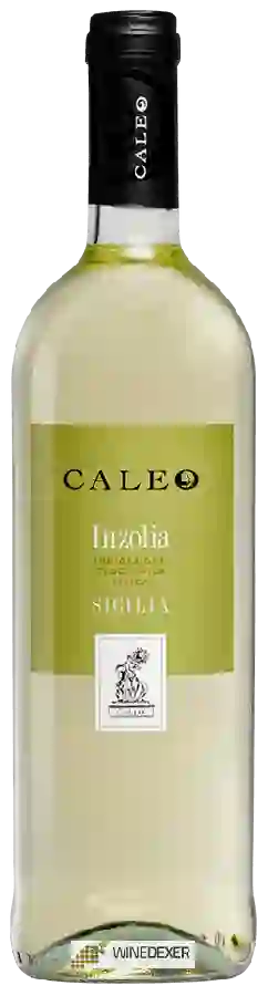 Winery Caleo - Inzolia Sicilia Winery Caleo - Inzolia Sicilia