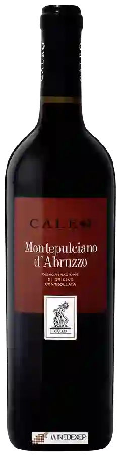 Winery Caleo - Montepulciano d'Abruzzo Winery Caleo - Montepulciano d'Abruzzo