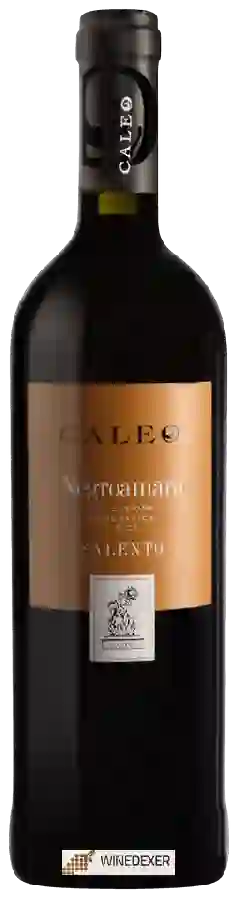 Winery Caleo - Negroamaro Salento Winery Caleo - Negroamaro Salento
