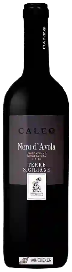 Winery Caleo - Nero d'Avola Terre Siciliane Winery Caleo - Nero d'Avola Terre Siciliane