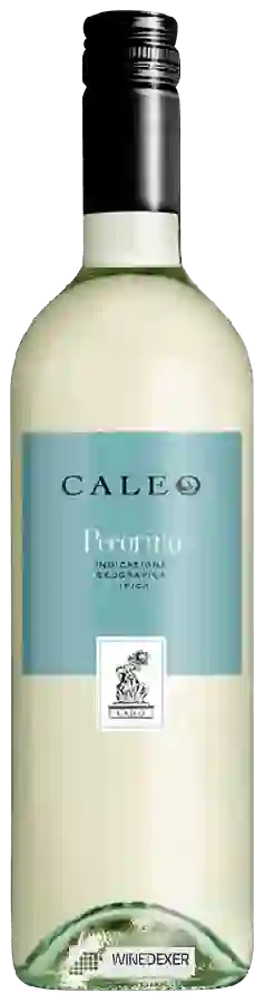 Winery Caleo - Pecorino Winery Caleo - Pecorino