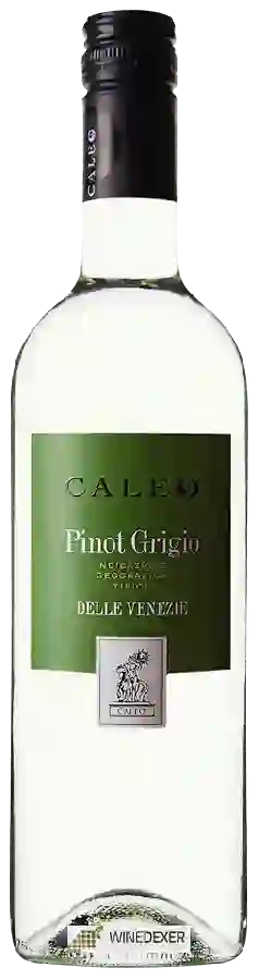 Winery Caleo - Pinot Grigio delle Venezie Winery Caleo - Pinot Grigio delle Venezie