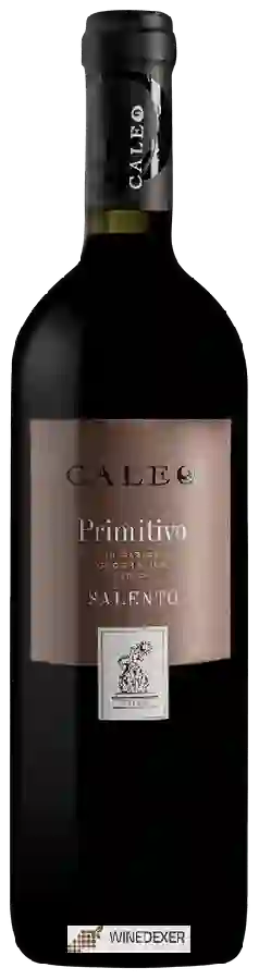 Winery Caleo - Primitivo Salento