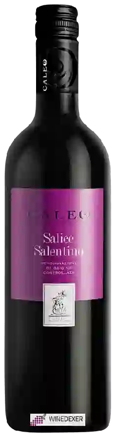 Winery Caleo - Salice Salentino Winery Caleo - Salice Salentino