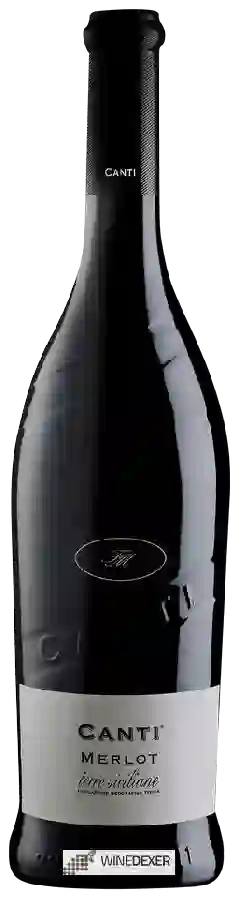 Winery Canti - Merlot
