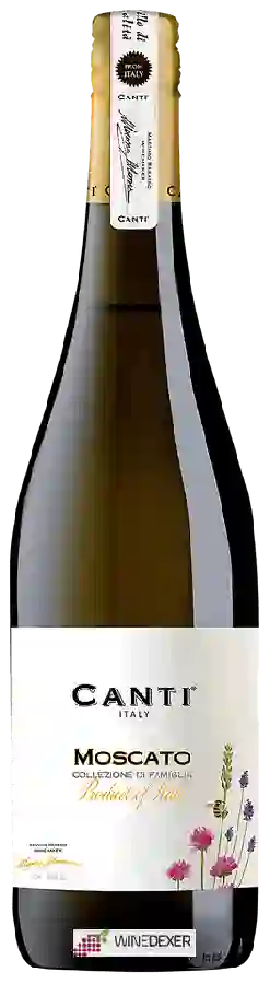 Winery Canti - Moscato