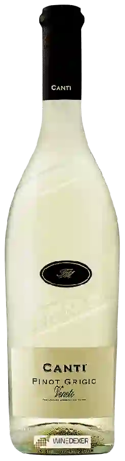 Winery Canti - Pinot Grigio Veneto