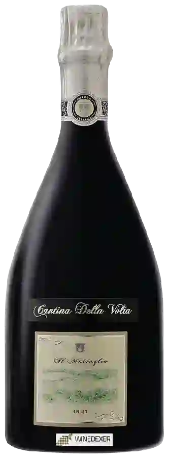 Winery Cantina della Volta - Il Mattaglio Brut Winery Cantina della Volta - Il Mattaglio Brut