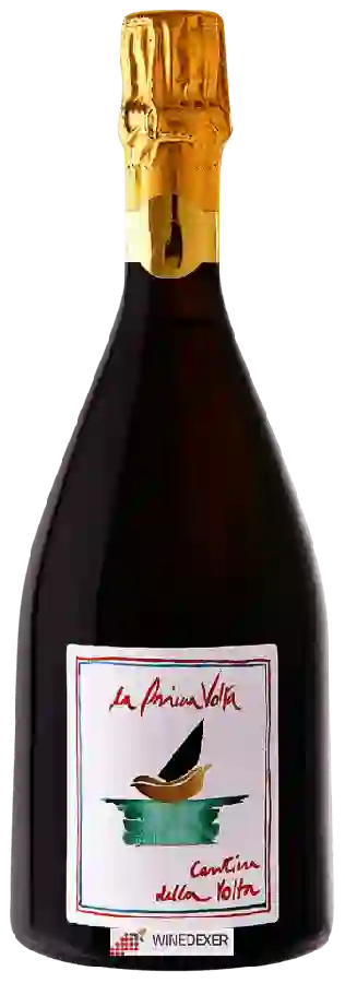 Winery Cantina della Volta - La Prima Volta Winery Cantina della Volta - La Prima Volta