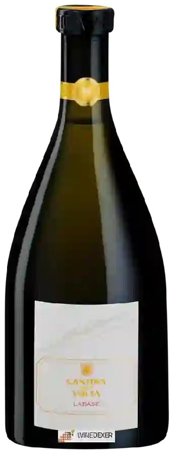 Winery Cantina della Volta - Labase