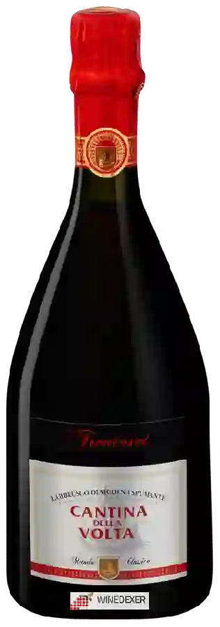 Winery Cantina della Volta - Trentasei