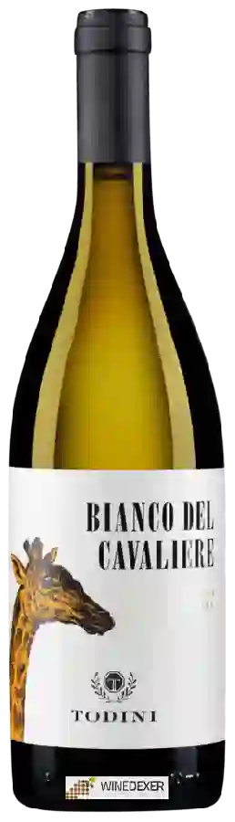 Winery Cantina Todini - Bianco del Cavaliere Grechetto di Todi