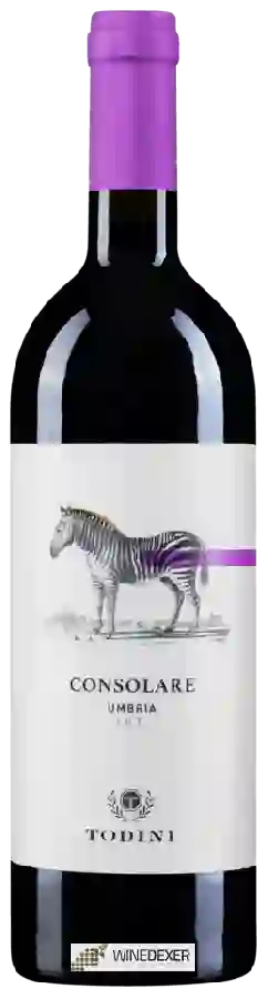 Winery Cantina Todini - Consolare