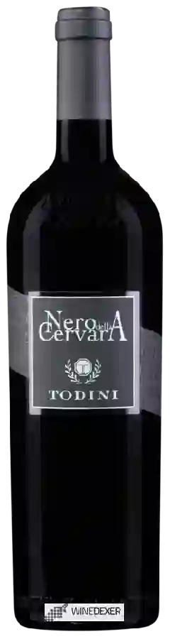 Winery Cantina Todini - Nero della Cervara