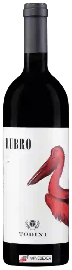 Winery Cantina Todini - Rubro
