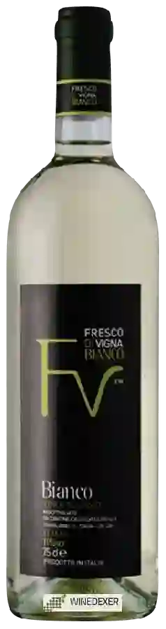 Winery Castelvecchio - Fresco di Vigna Bianco