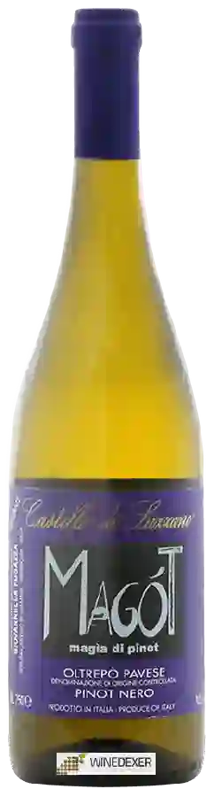 Winery Castello di Luzzano - Magót Winery Castello di Luzzano - Magót