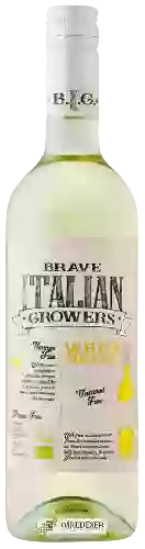 Winery Cielo e Terra - Brave Italian Growers Organic White