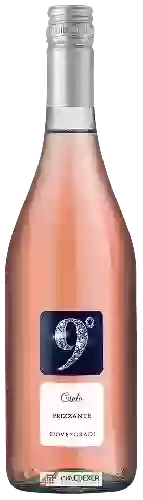 Winery Cielo e Terra - 9° Frizzante Rosé
