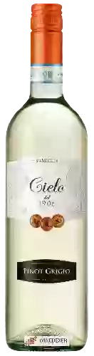 Winery Cielo e Terra - Pinot Grigio
