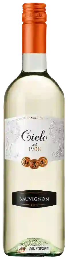 Winery Cielo e Terra - Sauvignon Winery Cielo e Terra - Sauvignon