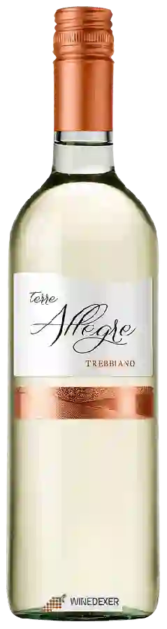 Winery Cielo e Terra - Trebbiano Terre Allegre Winery Cielo e Terra - Trebbiano Terre Allegre