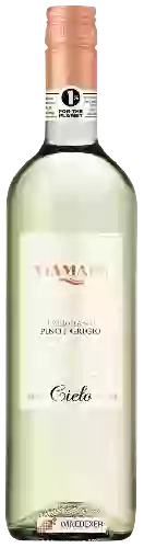 Winery Cielo e Terra - Viamare Trebbiano - Pinot Grigio