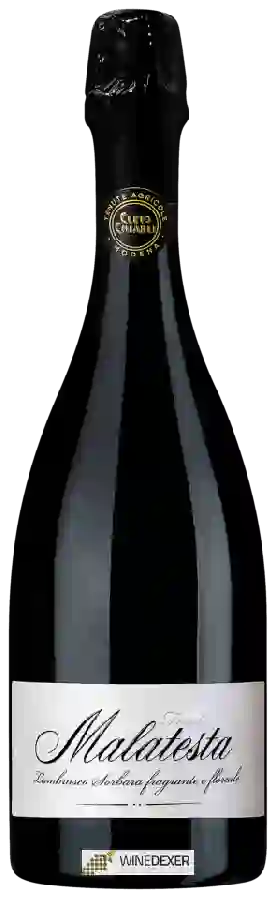 Winery Cleto Chiarli - Fondo Malatesta Lambrusco di Sorbara