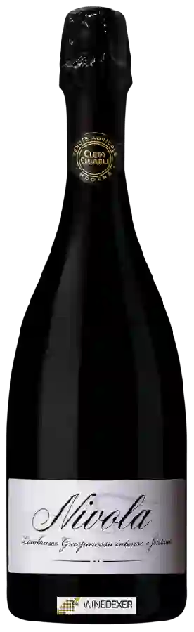 Winery Cleto Chiarli - Nivola