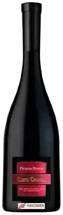 Winery Cleto Chiarli - Pruno Nero Frizzante Winery Cleto Chiarli - Pruno Nero Frizzante