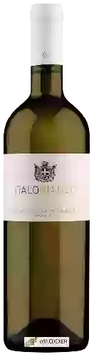 Winery Villa Corliano - Italo Bianco