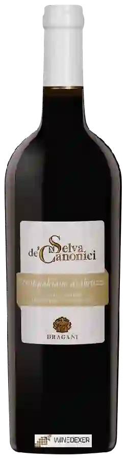 Winery Dragani - Selva de'Canonici Montepulciano d'Abruzzo