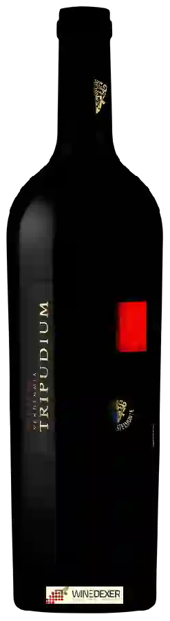 Winery Duca di Castelmonte - Tripudium Rosso