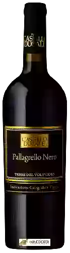 Winery Ducale - Pallagrello Nero