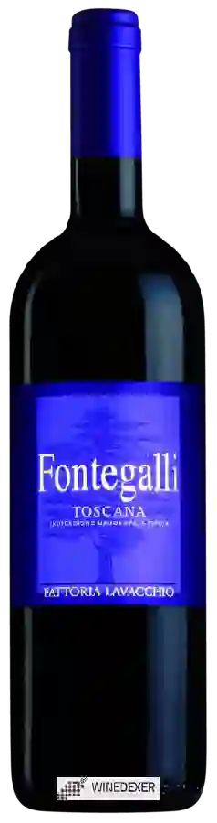 Winery Fattoria Lavacchio - Fontegalli