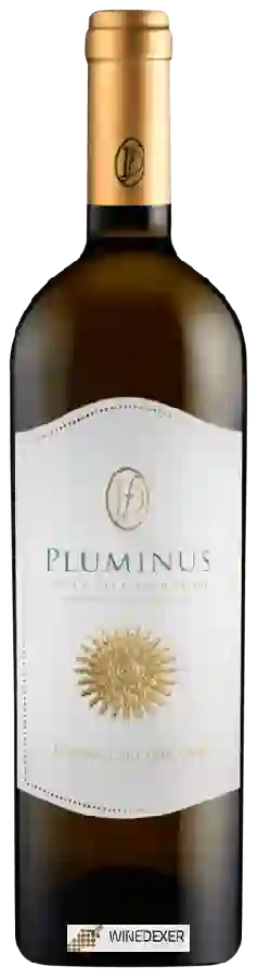 Winery Ferruccio Deiana - Pluminus Isola dei Nuraghi