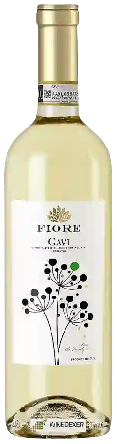 Winery Fiore - Gavi Winery Fiore - Gavi