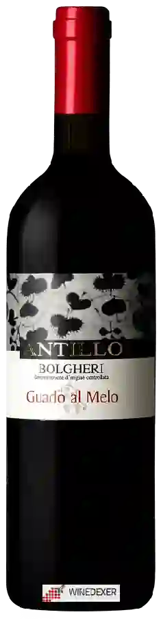 Winery Guado al Melo - Antillo Bolgheri Winery Guado al Melo - Antillo Bolgheri