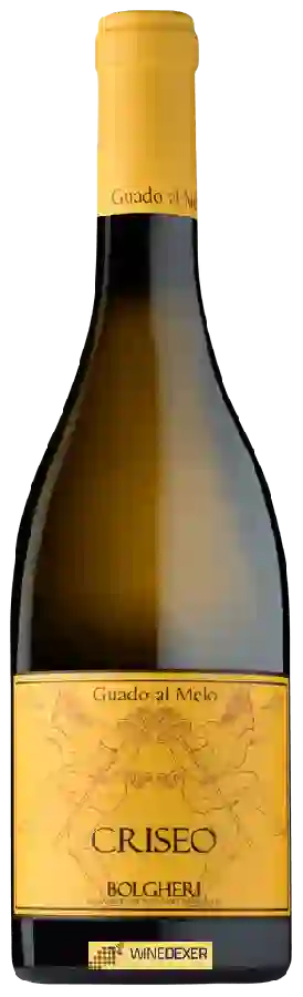 Winery Guado al Melo - Criseo