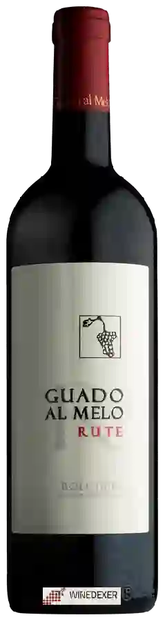 Winery Guado al Melo - Rute Bolgheri