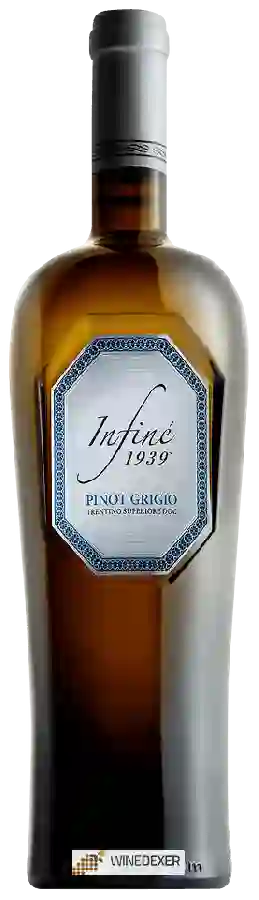 Winery Infiné 1939 - Pinot Grigio Trentino Superiore Winery Infiné 1939 - Pinot Grigio Trentino Superiore