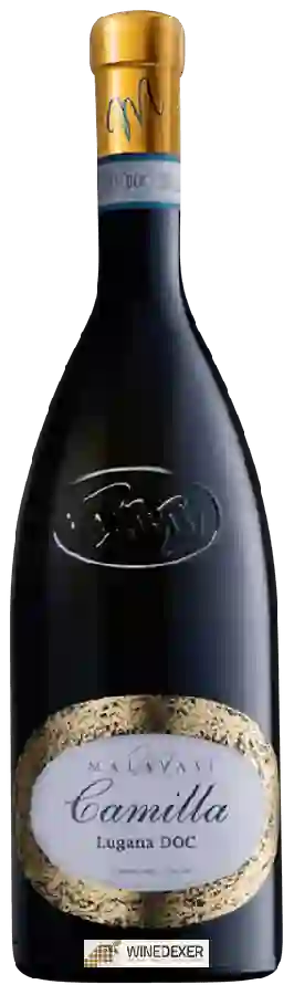 Winery Malavasi - Camilla